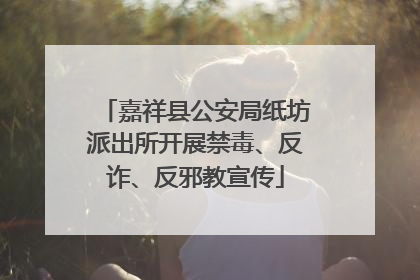 嘉祥县公安局纸坊派出所开展禁毒、反诈、反邪教宣传